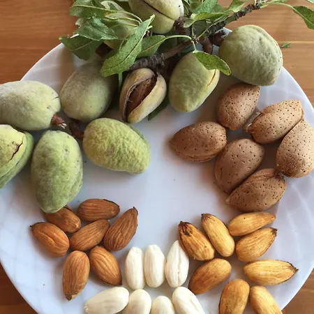 民宿 Karia Apart&pension *