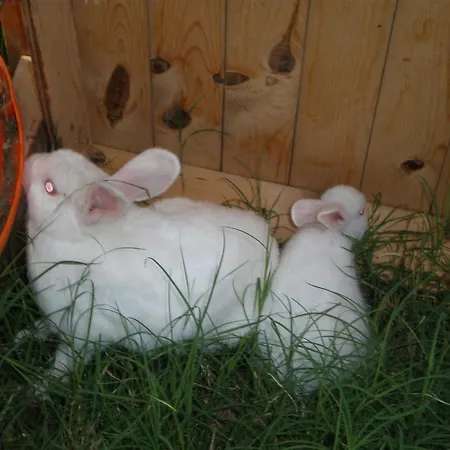 Karia Apart&pension Mesudiye (Datca)