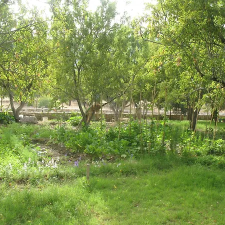 Pansiyon Karia Apart&pension Mesudiye (Datca)