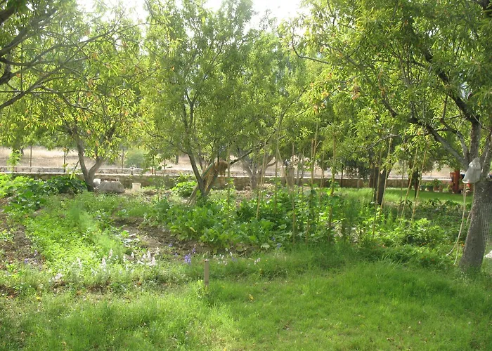 Homestay szállás Karia Apart&pension Mesudiye