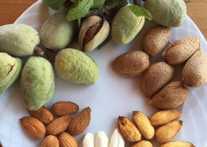 Homestay szállás Karia Apart&pension *